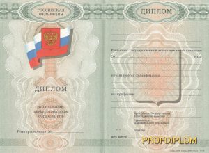 Диплом лицея 2007-2009