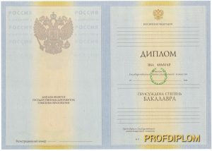 Диплом бакалавра 2009-2011